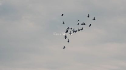 1314222134-59e46918a7d38f74dbe4676544859a62ce09b54859bfa760c96e8520a81a6b34-d_640